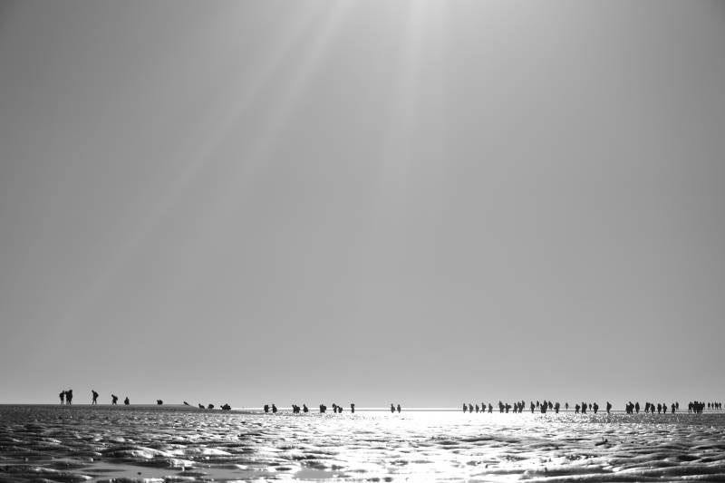 Wadlopen 21 sept 2019 