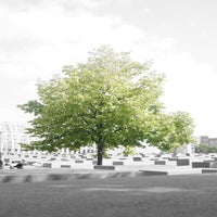 DSC03911-1.jpg