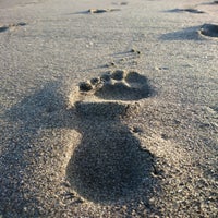 Foodprints