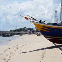 boats