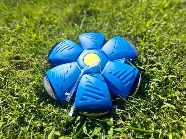 (Pet toy) Fun interactive Rolling deformation ball