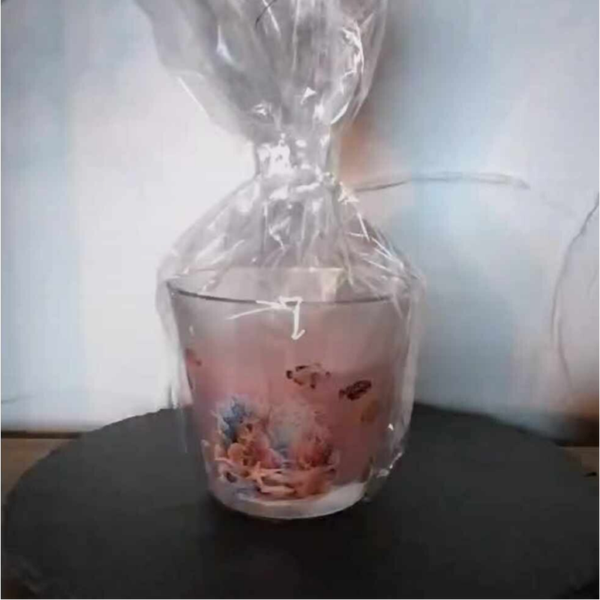 geurkaars onderwaterwereld