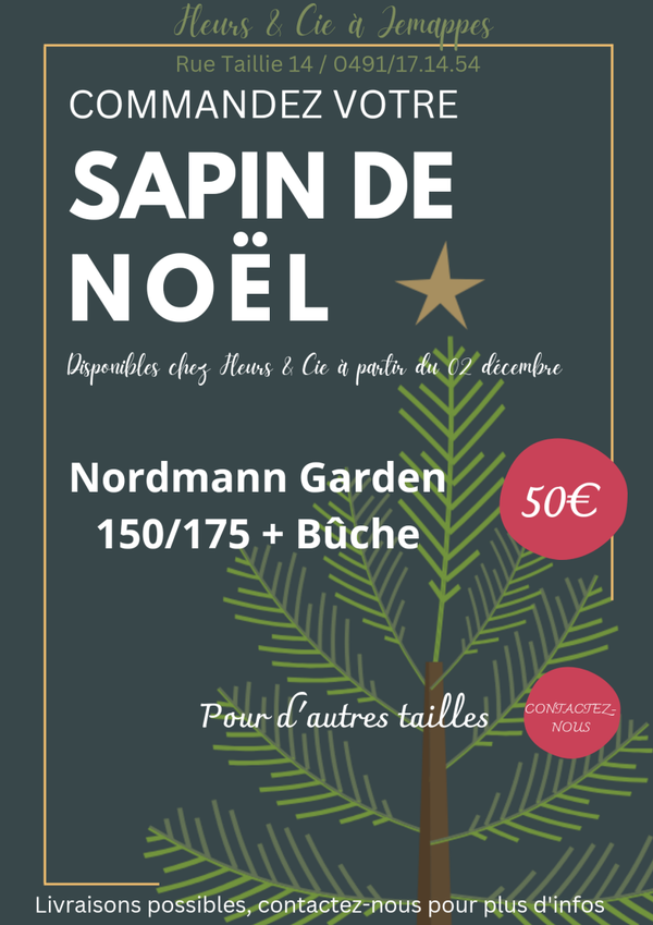 Sapin de Noël Nordmann 150/175 cm