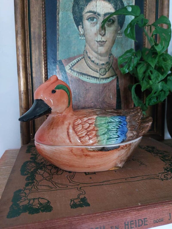 Michel Caugant manderijn eenden terinne