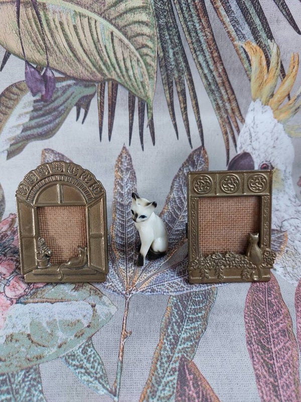 Messing foto lijstje poes