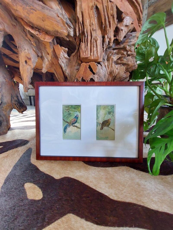 Schilderij, tekening kip&haan