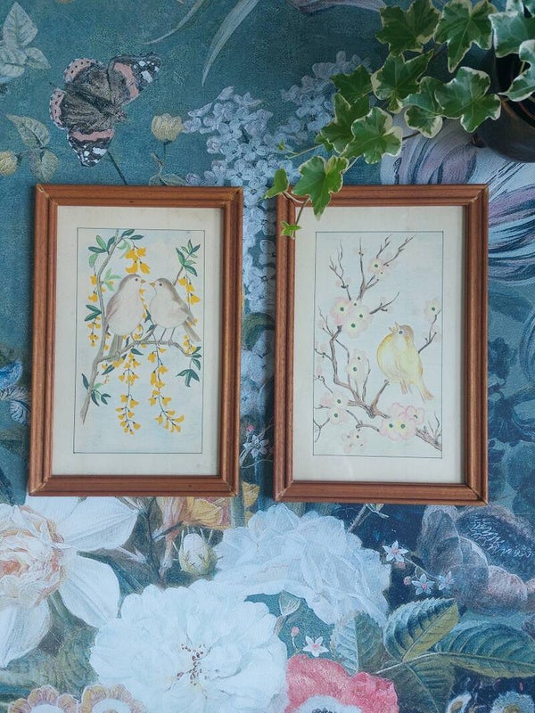 Lijst met getekende vogels