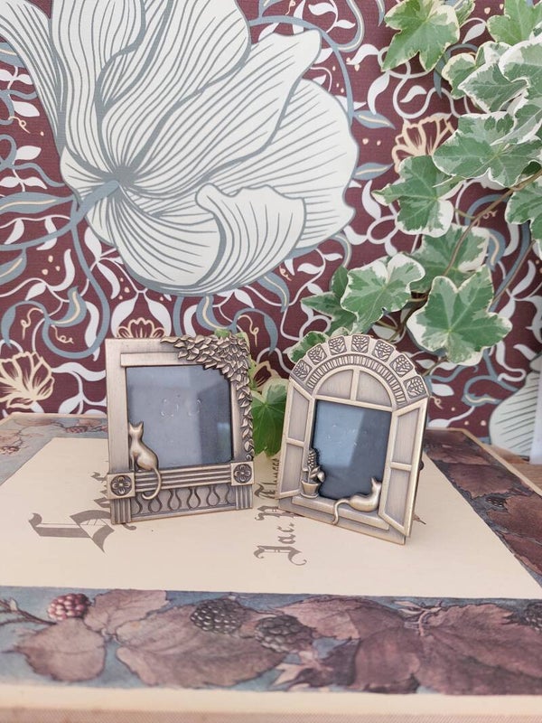 Messing fotolijst poes