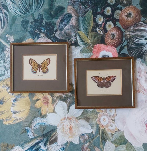 Kaders met litho s vlinders