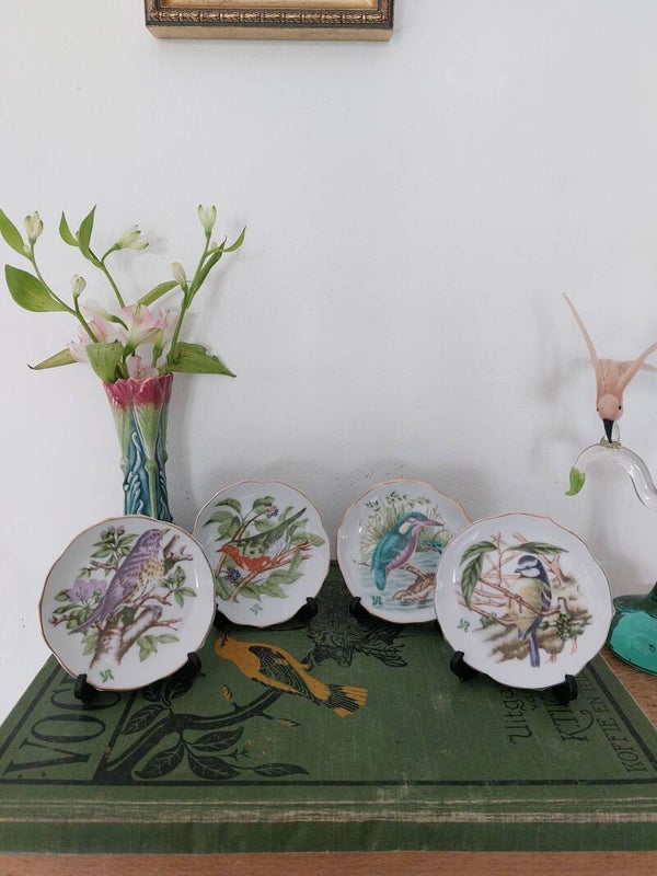 Set vogel bordjes met houder