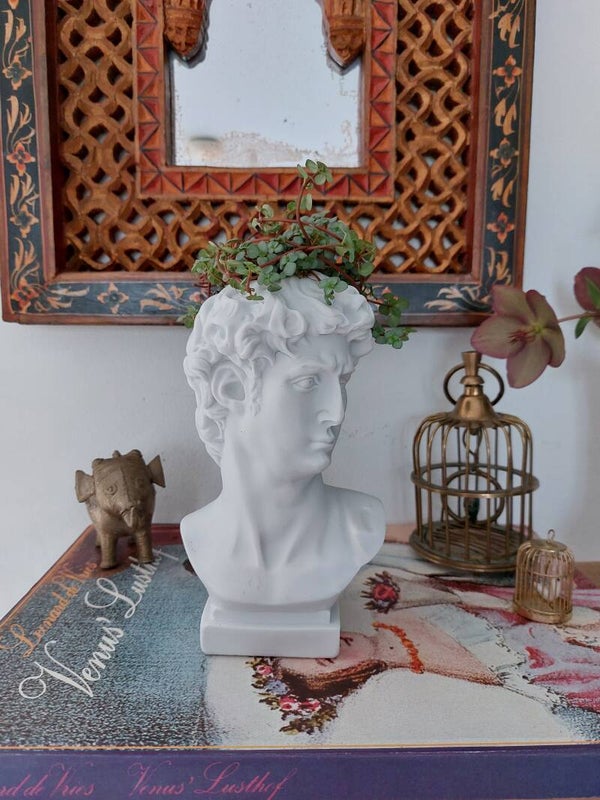 David buste pot