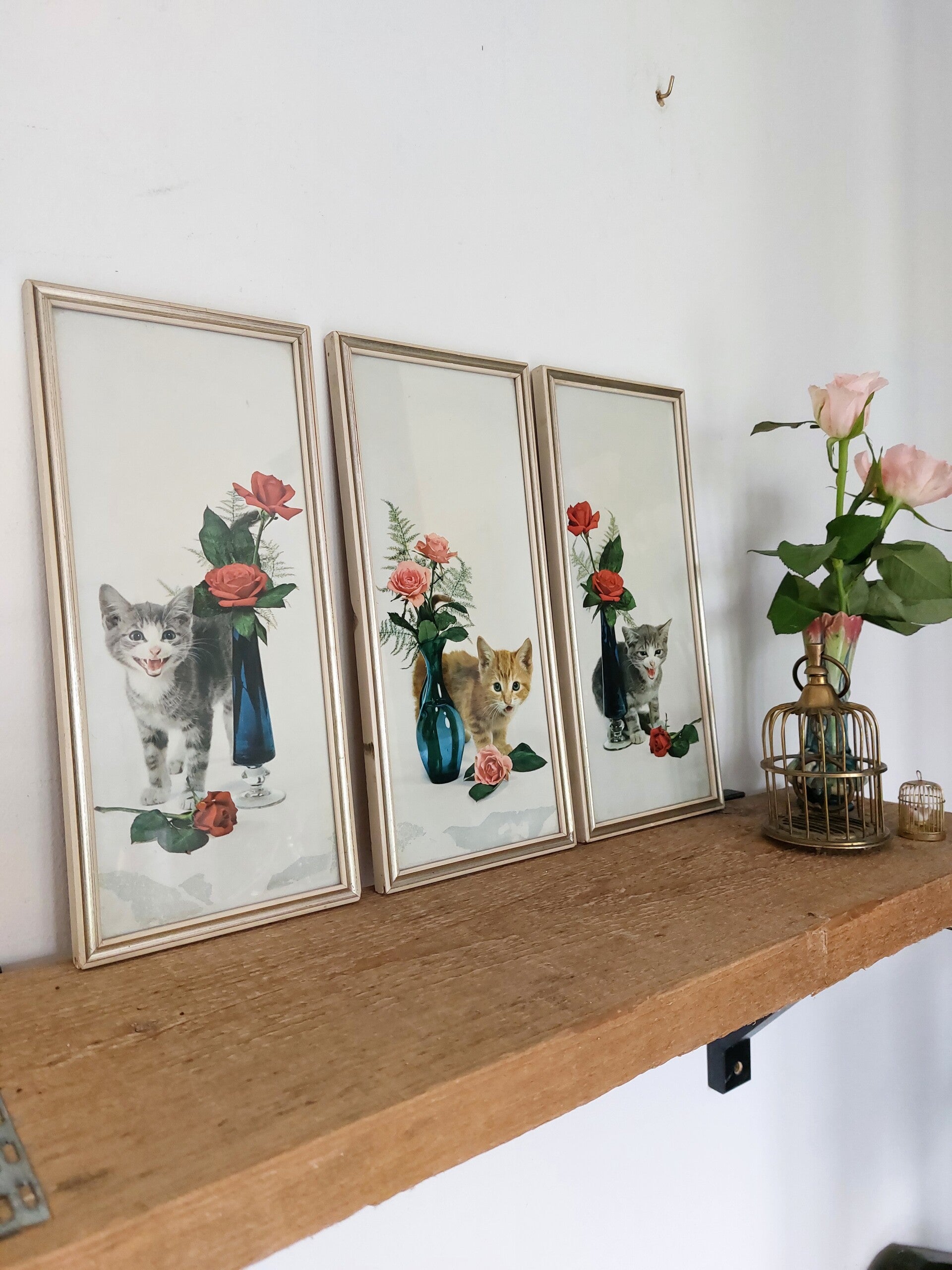 Vintage Poezen schilderijtjes