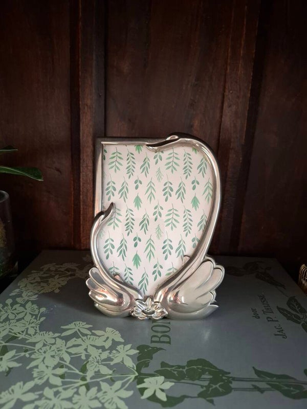 Zwanen verzilverde fotolijst