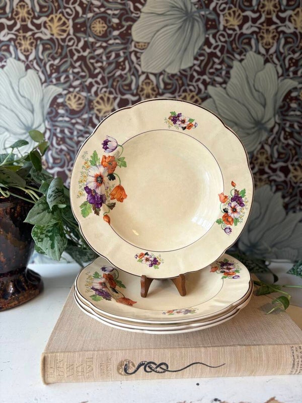 Diepe borden Holland Plazuid