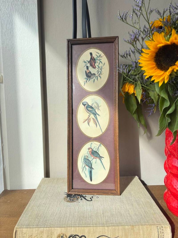 Trio vogels in lijst