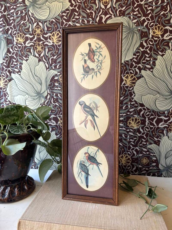 Trio vogels in lijst