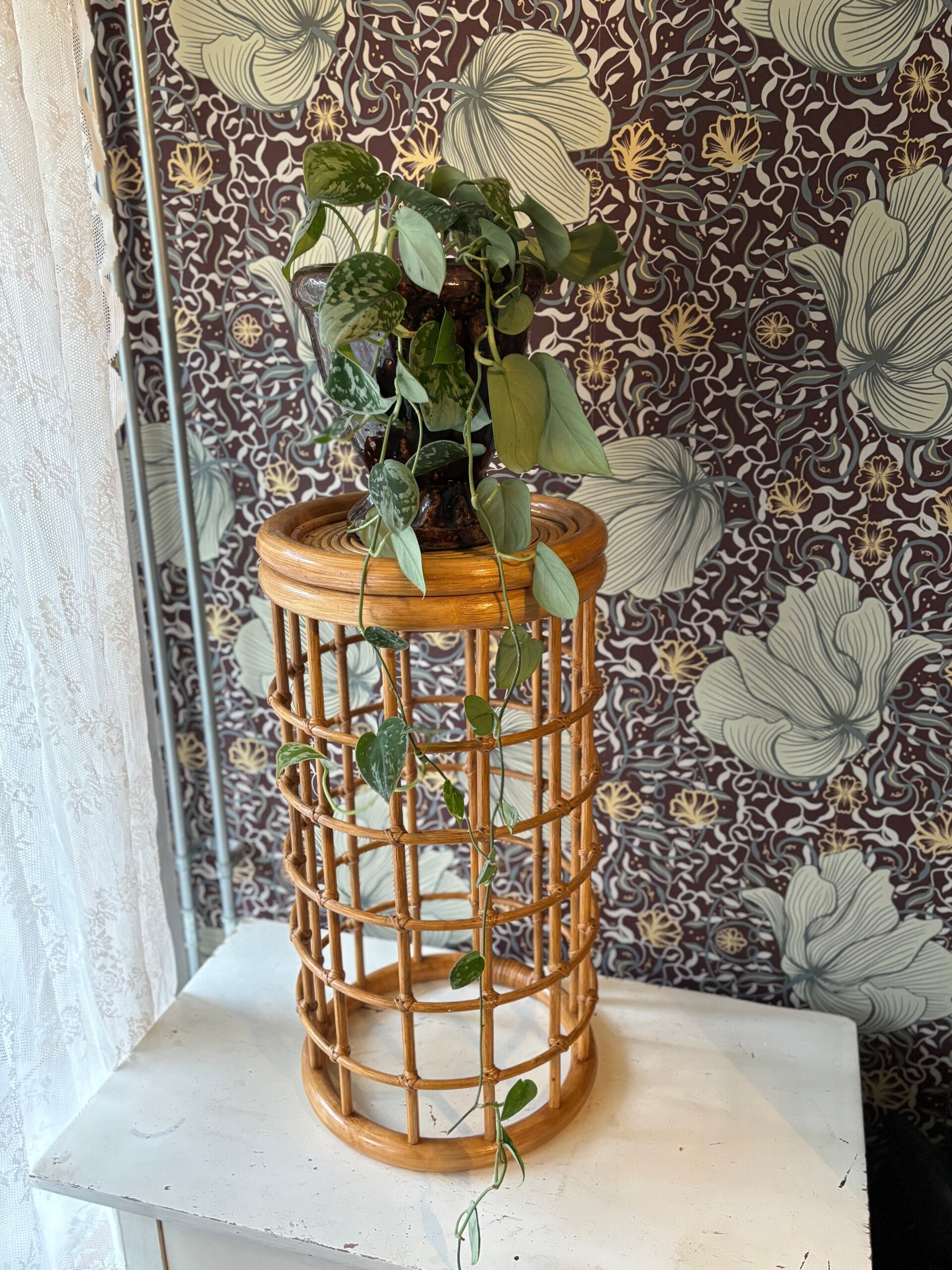 Bamboe plantentafeltje