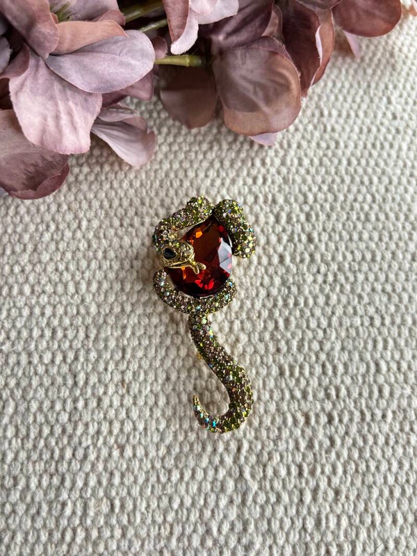 Broche slang met steen