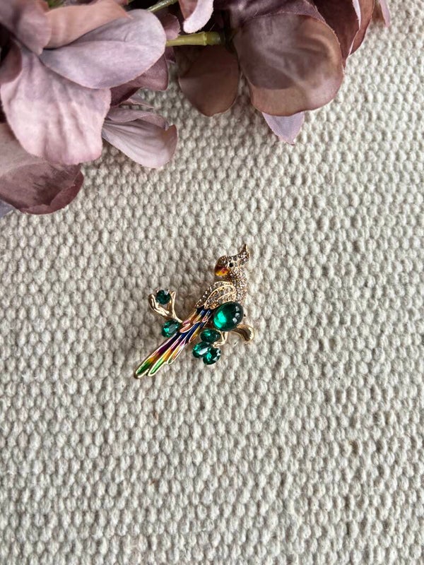 Broche papegaai