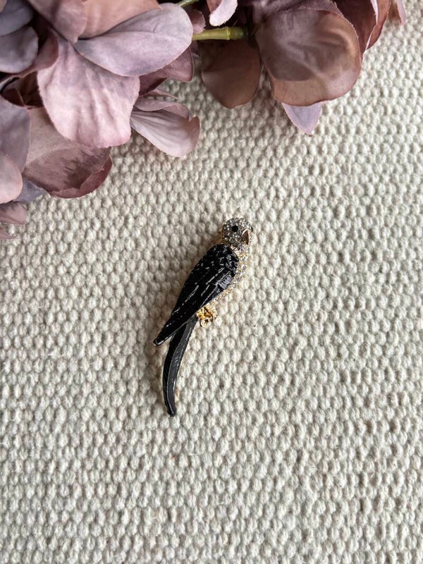 Broche papegaai zwart