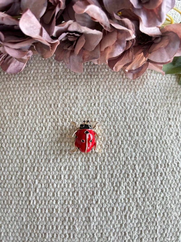 Broche lieveheersbeestje