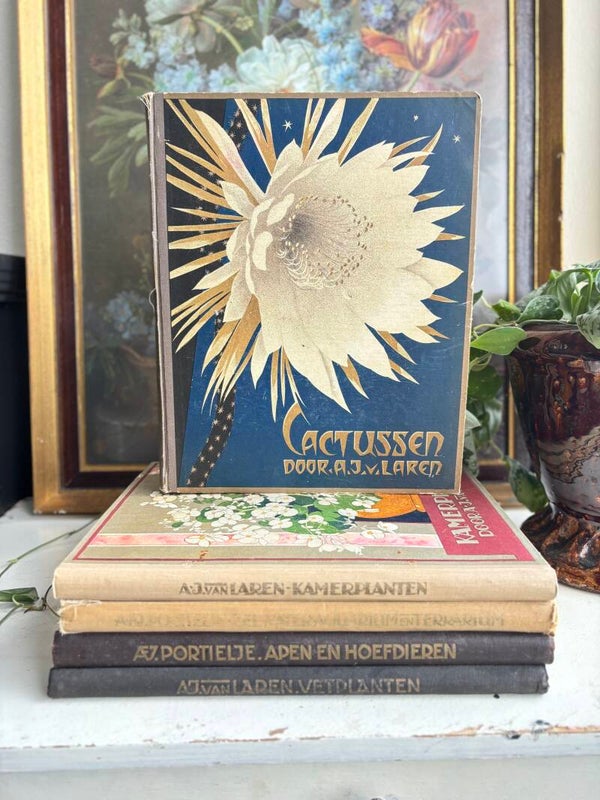 Verkade verzamelalbums