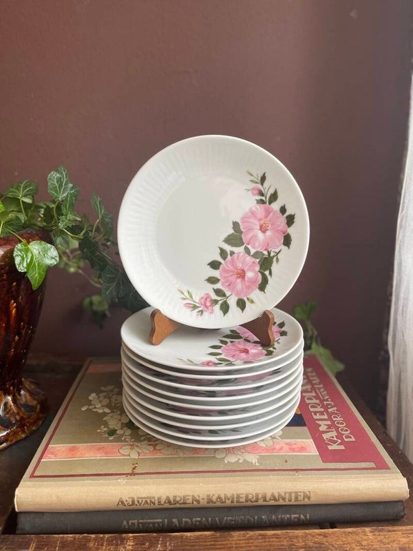 Set 10 gebaksbordjes