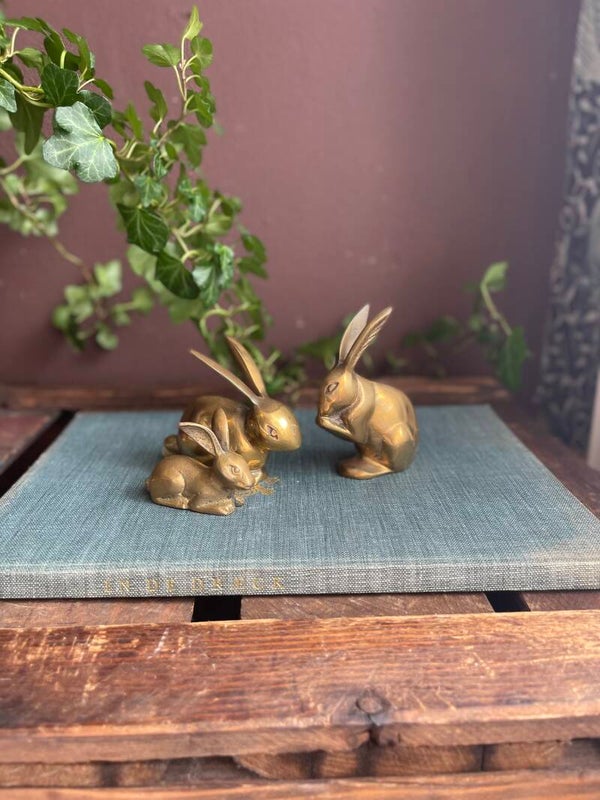 Set messing konijnen