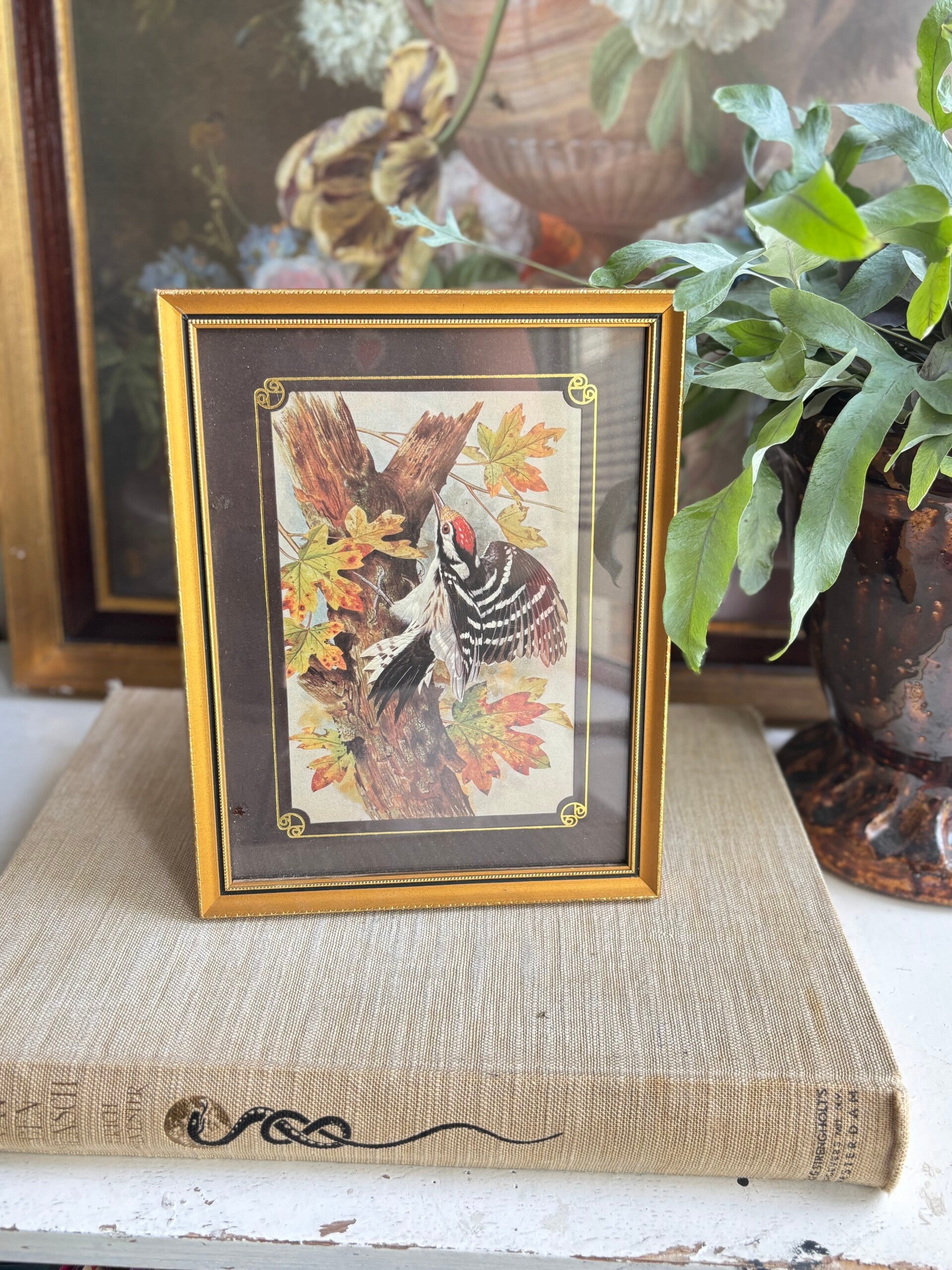 Lijstje met bonte specht