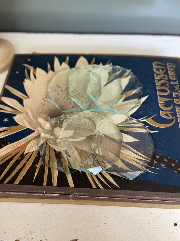 SALE 6 glazen onderzetters