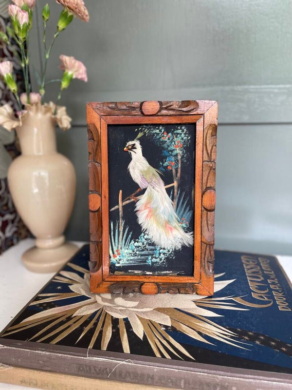 SALE Pauw van echte veren