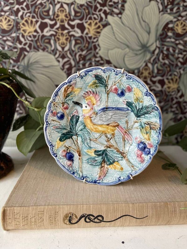 Zeldzaam vogelbordje