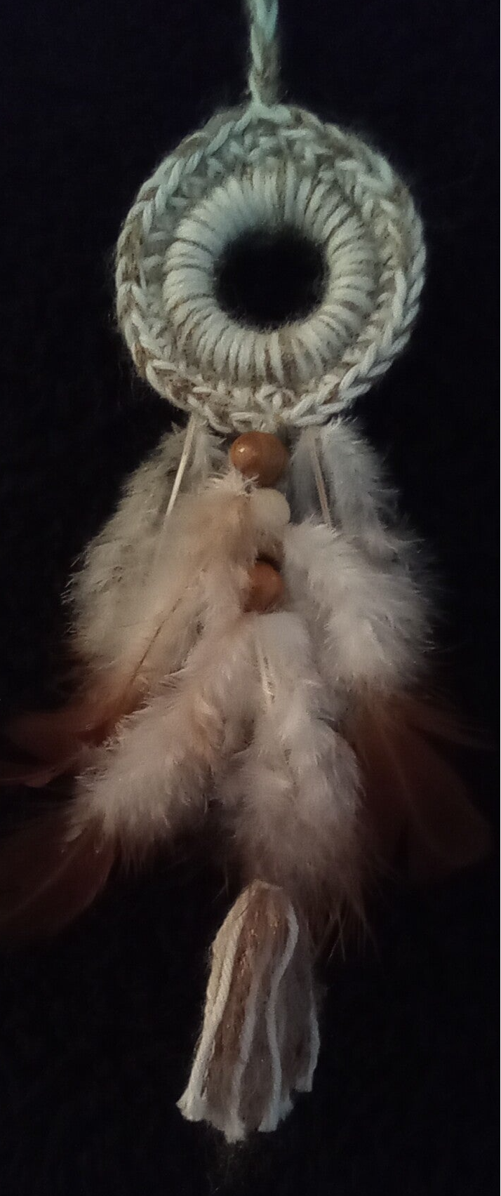 Aufhänger für  Autorückspiegel