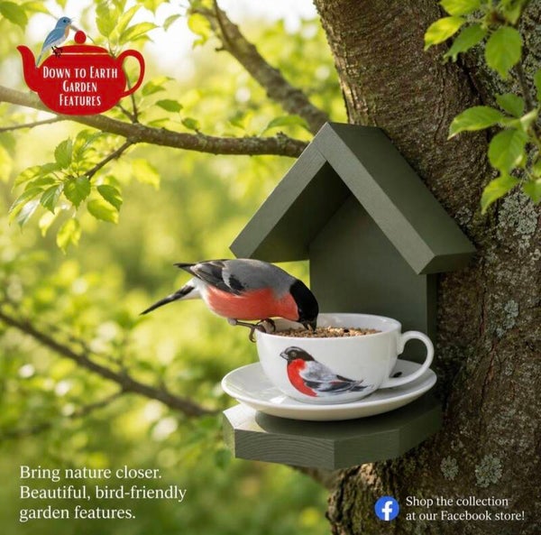 Birds teacup set bird feeder