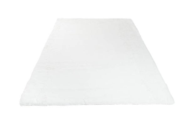 Rabbit white