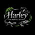 Harley The Reptile Sitter