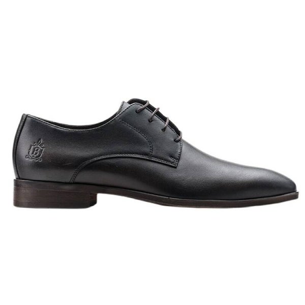 Basics from Amsterdam Frans Zwart