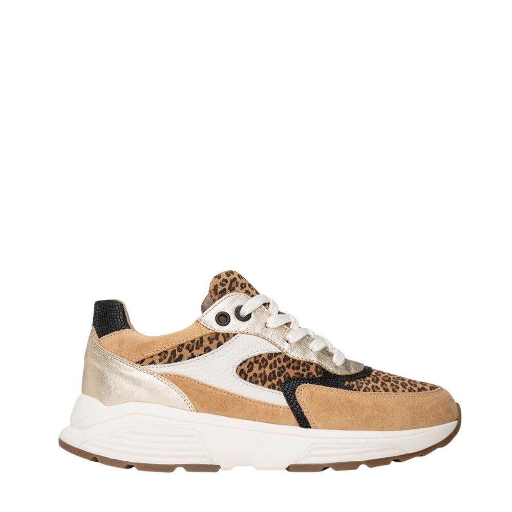 Xsensible Ponte Vecchio 33002.4 304 Camel Combi Wijdte GX 17362