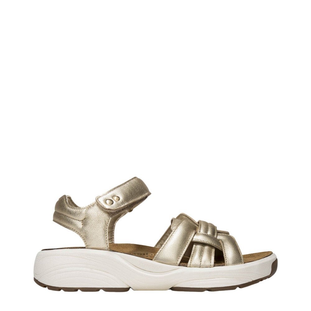 Xsensible Magnolia 30804.5 911 Gold Wijdte H 17374