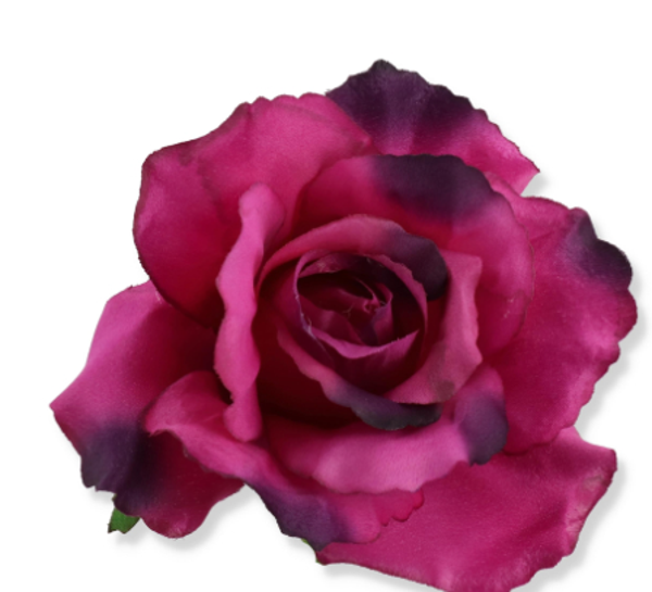 główka kwiatowa róża purple