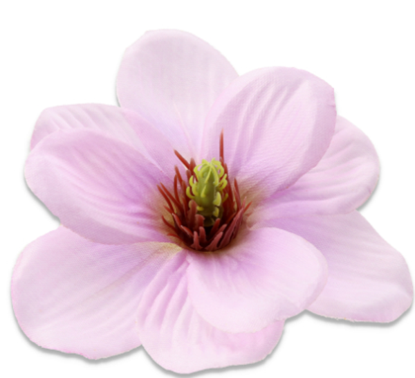 główka kwiatowa magnolia lilac