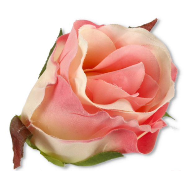główka kwiatowa róża cream pink