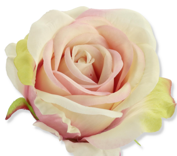 główka kwiatowa róża 50620 cream pink