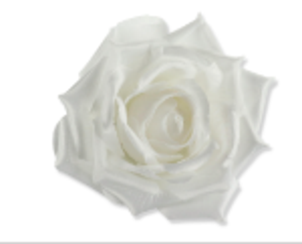 główka kwiatowa róża 140 white