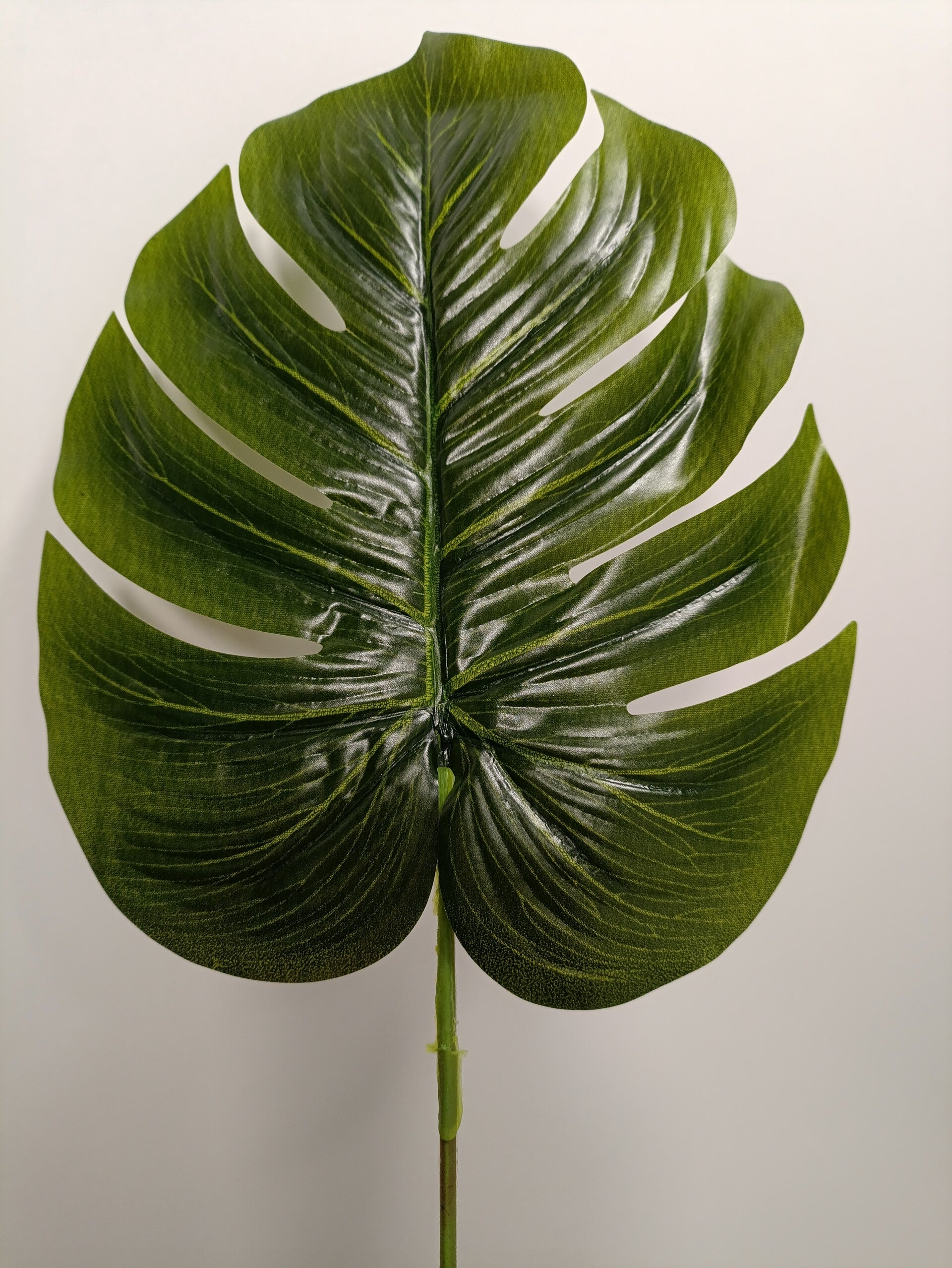 liść monstera gumowany