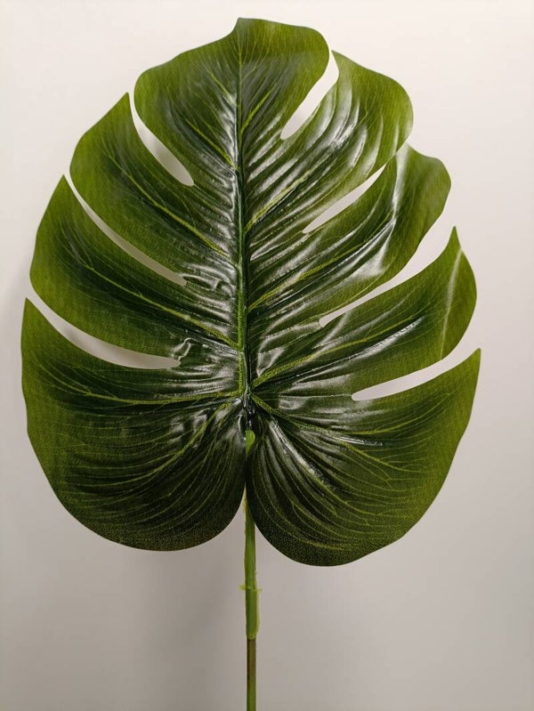 liść monstera gumowany