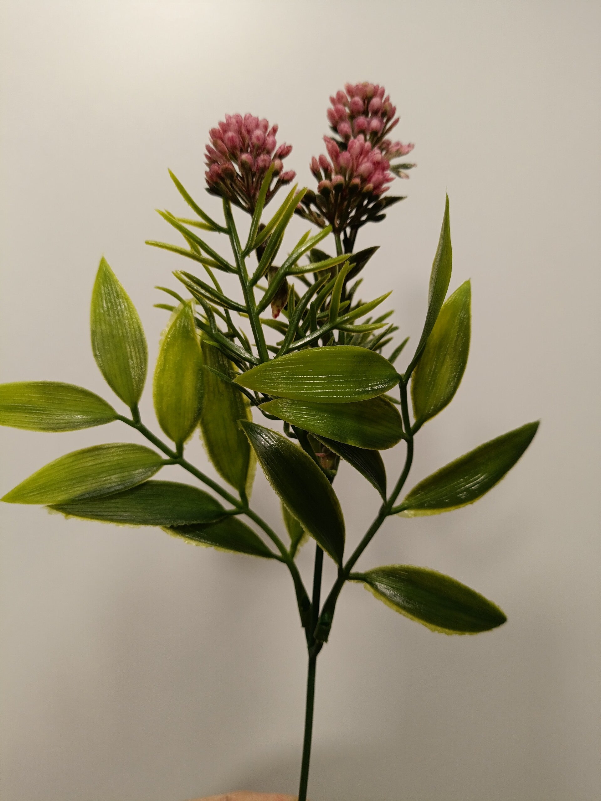 dodatek trawa
