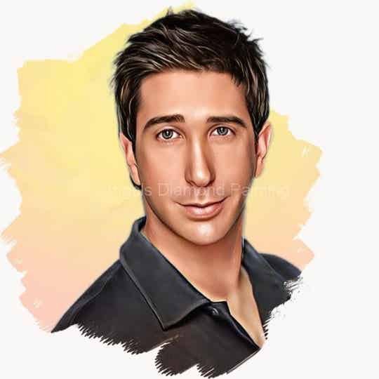 Diamond Painting Portret David Schwimmer 1