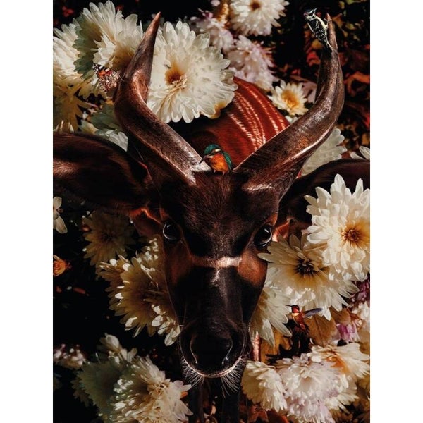 Diamond Painting Antilope met Bloemen