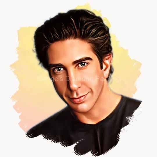 Diamond Painting Portret David Schwimmer 3